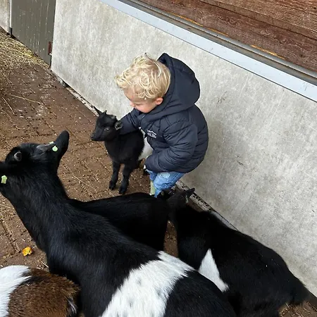 Buurman Aan Zee Julianadorp