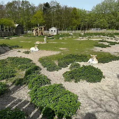 Buurman Aan Zee Tatil Evi